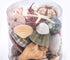beach mix seashell pack
